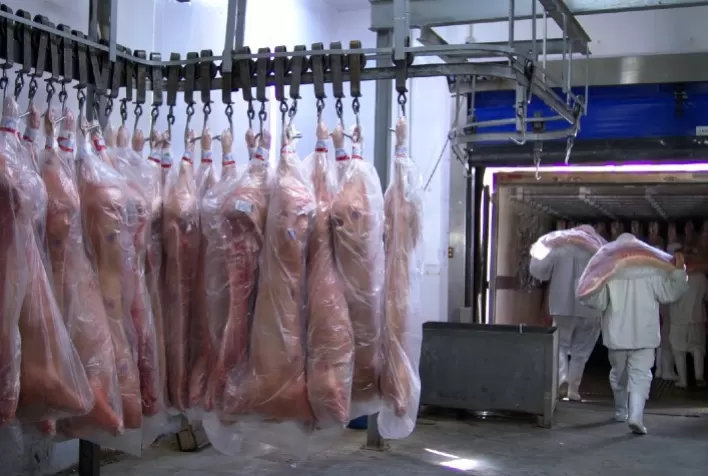 Produtores Russos de Carne Suína Buscam Expandir Participação no Mercado Chinês