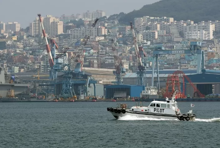 Paraná Destaca-se como Principal Exportador Nacional de Farelo de Soja para a Coreia do Sul