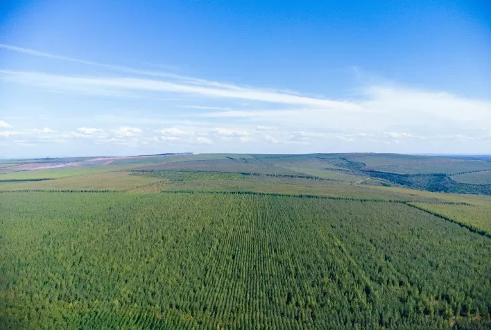 Revolução Verde no Setor Florestal: Eficiência Energética Transforma Operações e Reduz Impacto Ambiental
