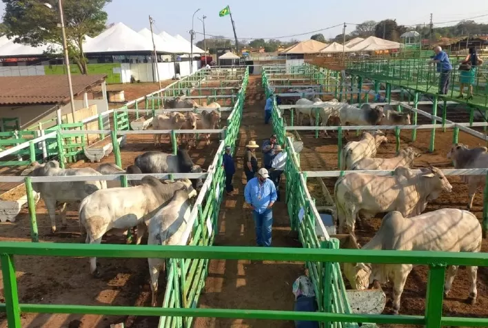 Emater Goiás e ABCZ Promovem Feira Pró-Genética em Uruana
