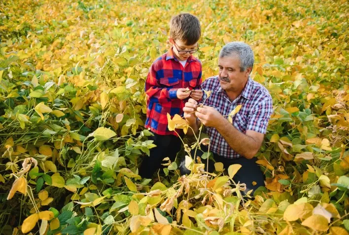 Plano Safra 2024/2025 Impulsiona Agricultura Familiar e Estimula Mercado de Máquinas Agrícolas
