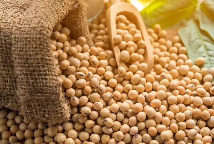 Soja em Alta: Derivados Impulsionam Preços na Bolsa de Chicago