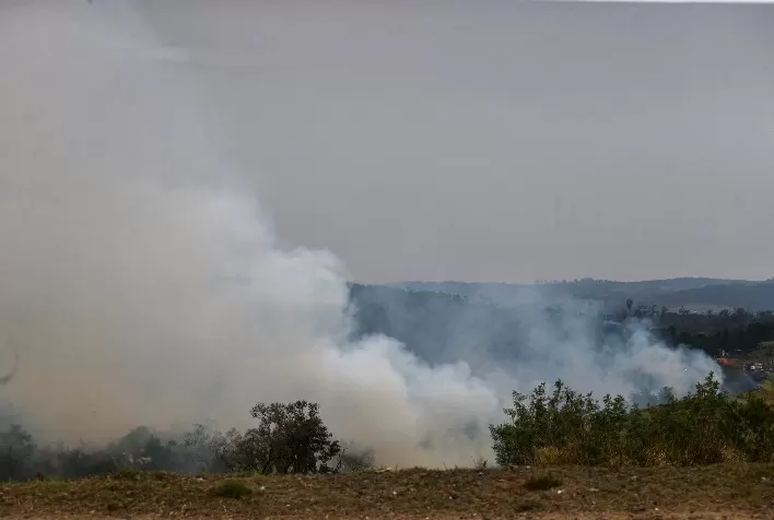 Incêndios Devastam Pecuária no Interior de São Paulo e Deixam Mais de 300 Animais Mortos