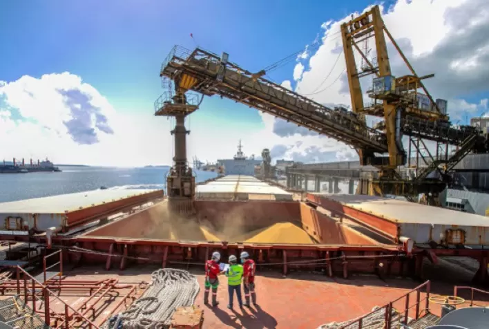 Exportação de Soja pelos Portos do Paraná Supera Média Nacional e Cresce 16%