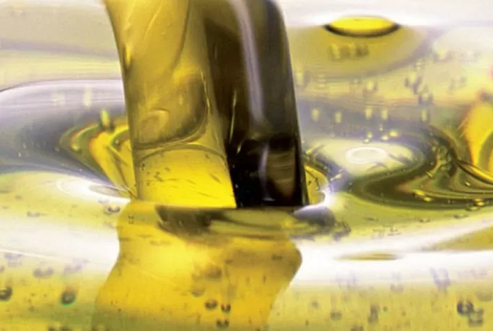 Expansão do Mercado de Biodiesel no Brasil Enfrenta Obstáculos de Segurança Jurídica