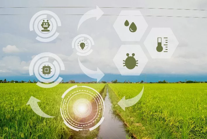 AgroBrasil 2024: Inovações Tecnológicas e Perspectivas Econômicas no Agronegócio Brasileiro
