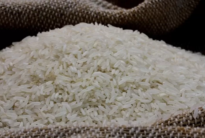 Arroz Brilhante Marca Início da Rastreabilidade com Tecnologia da Embrapa