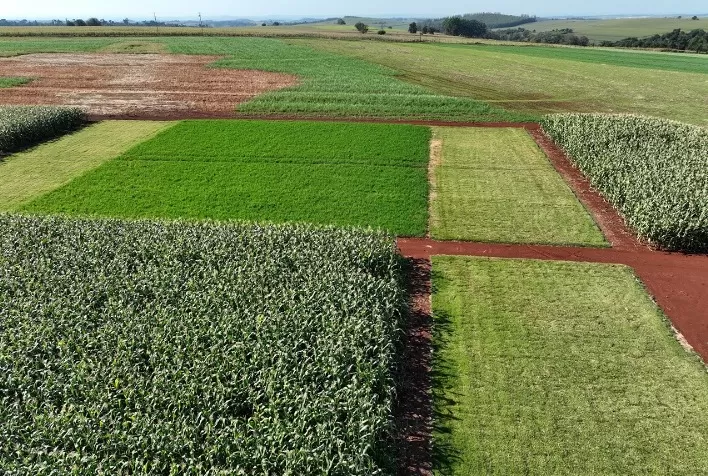 Embrapa Soja Realiza Primeiro Dia de Campo Sobre Tecnologias para Produção de Soja Baixo Carbono