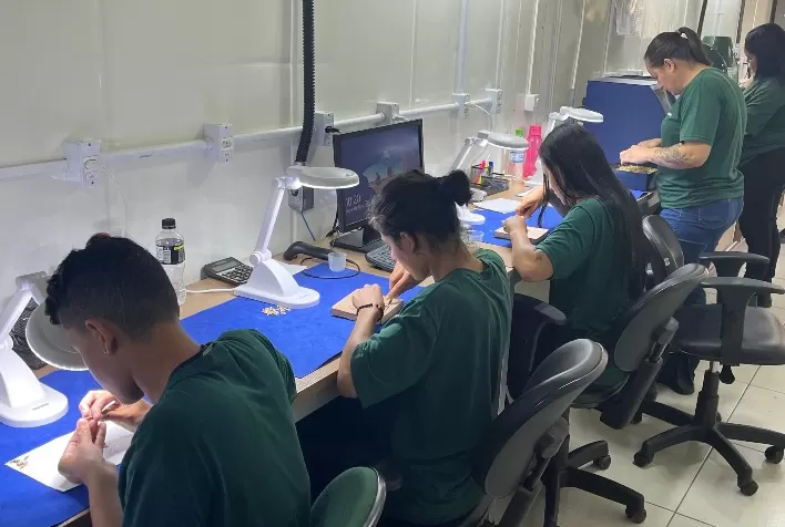 Cooperativa Capal Oferece 244 Vagas Temporárias em 5 Municípios
