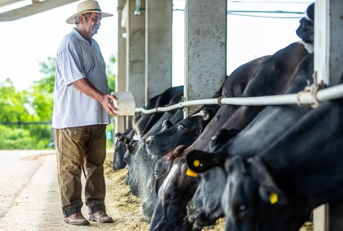 Alvoar Lácteos Inaugura Fábrica de Ração em Sergipe com Investimento de R$ 4,2 Milhões