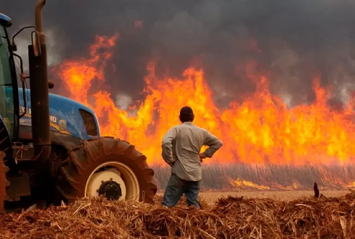 Prejuízo de R$ 800 Milhões com Incêndios Afeta Produtores de Cana no Brasil