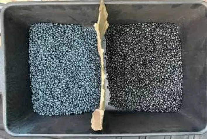 Tratamento Industrial de Sementes com Bioinsumos: Um Avanço Sustentável para a Agricultura