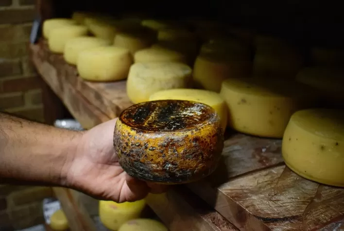 Goiás Inova com a Primeira Caverna de Maturação de Queijo Aprovada no Brasil