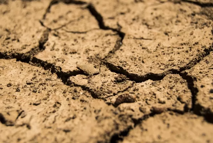 Agronegócio Adota Soluções Waterless para Cultivos Mais Sustentáveis