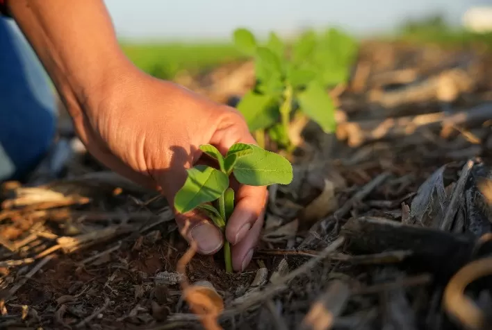 Produtores rurais: os guardiões da sustentabilidade ambiental