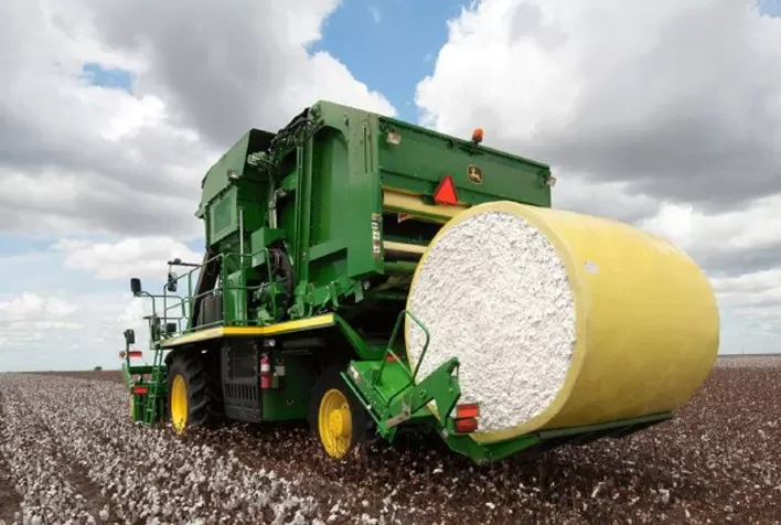 Cotações do Algodão Sobem no Brasil com Apoio da Bolsa de Nova York e Demanda Pontual