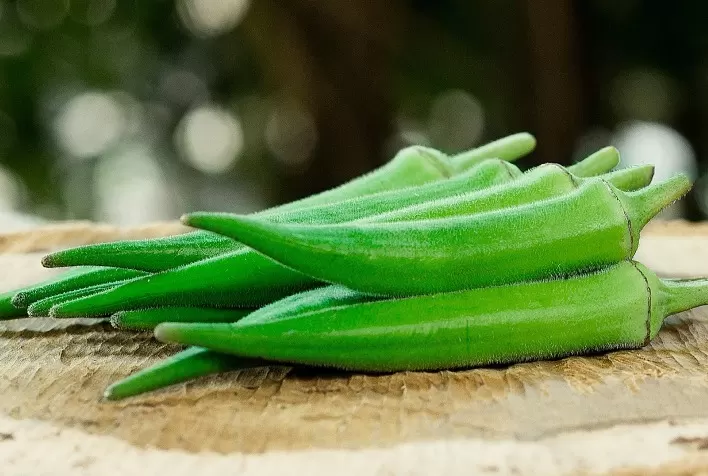 Quiabo Tropical: Uma Vantagem Competitiva para o Produtor Rural