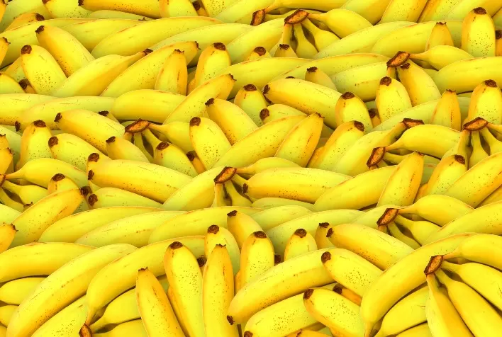 Valorização dos Preços de Banana em Santa Catarina: Impactos Climáticos e Perspectivas Futuras