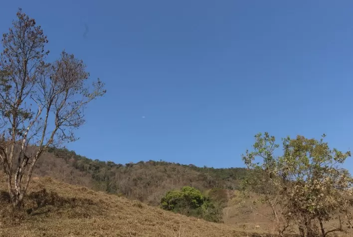 Inverno atípico e seca intensa ameaçam produção agrícola em Minas Gerais