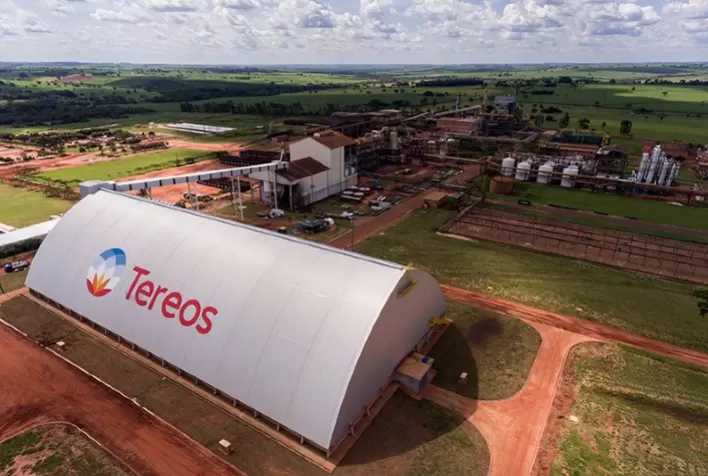 Tereos Relata Perda de 10% dos Canaviais e Preocupa-se com Efeitos da Seca para 2025/26