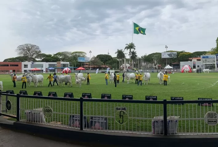 Expoinel 2024: Maior Exposição de Nelore do Brasil Acontece em Outubro em Uberaba