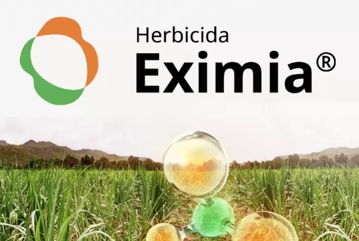 UPL Lança Eximia: Herbicida Seletivo e Eficaz para o Controle de Plantas Daninhas em Canaviais