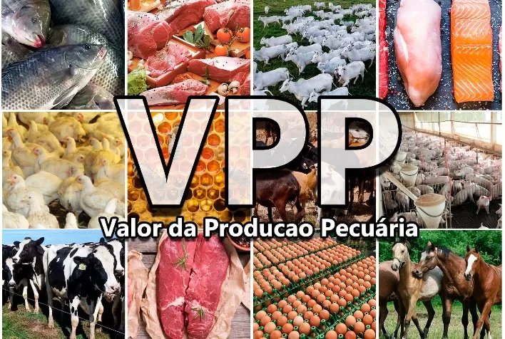 Produção Pecuária e Aquicultura Atinge R$ 122,4 Bilhões em 2023