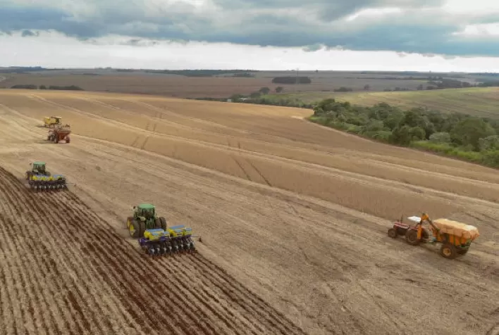Avanço do Plantio de Soja no Paraná Chega a 10% da Área Prevista para 2024/25
