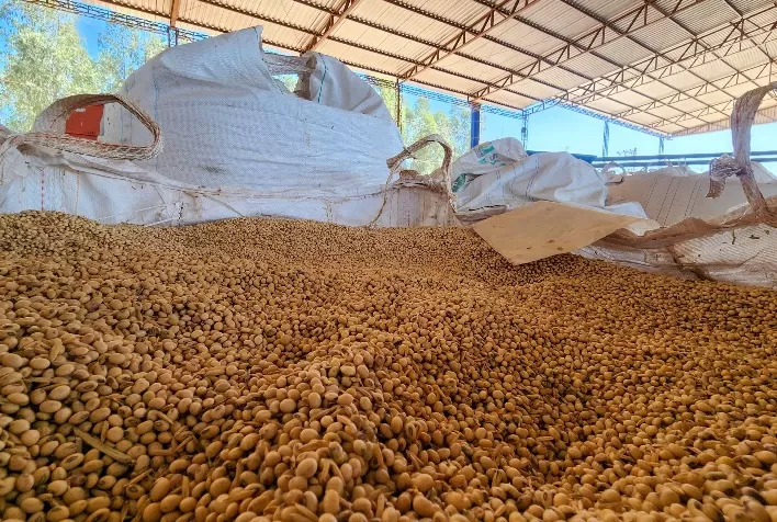 Exportações do Agronegócio Mineiro Registram Resultados Históricos