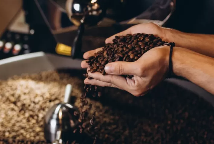 São Paulo registra aumento de 8,2% na produção de café arábica