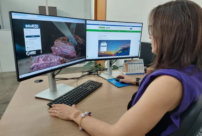 Cadastro de Propriedades Rurais em Goiás: Processo Totalmente On-line a Partir de Outubro