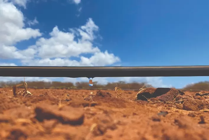 Irrigação por Gotejamento: Uma Solução para a Crise Hídrica no Brasil