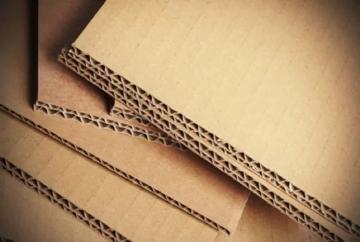 Venda de papelão ondulado atinge o maior nível em quase duas décadas, segundo Empapel