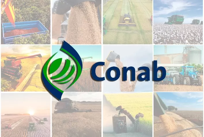 Estimativa da Conab para safra de grãos 2024/25 aponta produção recorde de 322,47 milhões de toneladas
