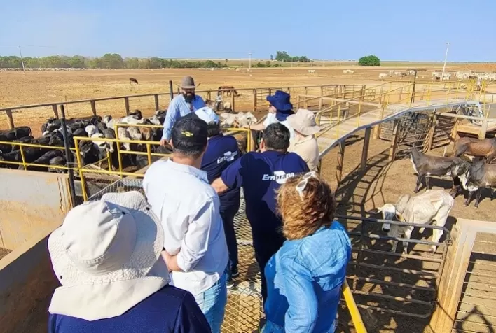 Embrapa Expande Presença Estratégica no Matopiba com Novo Hub