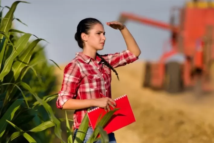 A Transformação do Trabalho na Agricultura: Impactos da Agricultura 4.0