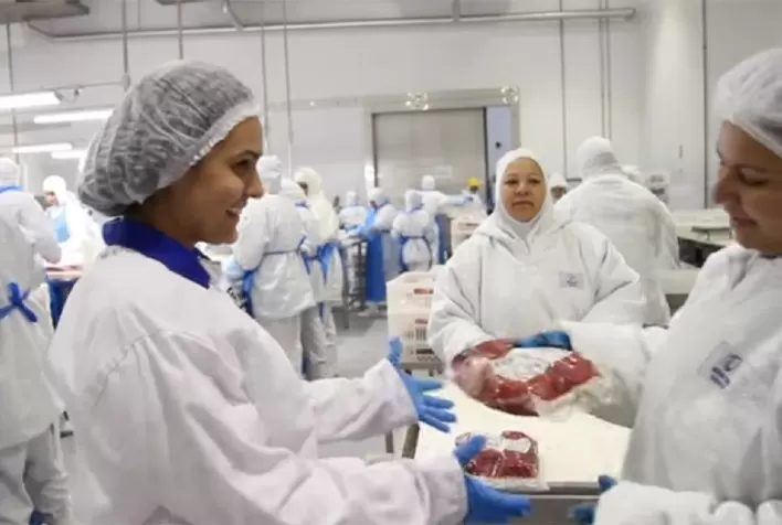 Marfrig e BRF fortalecem estratégia de marcas com a Sadia no mercado global de bovinos