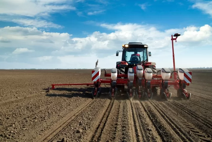 Plantio de Soja em Mato Grosso Alcança 25% da Área Prevista