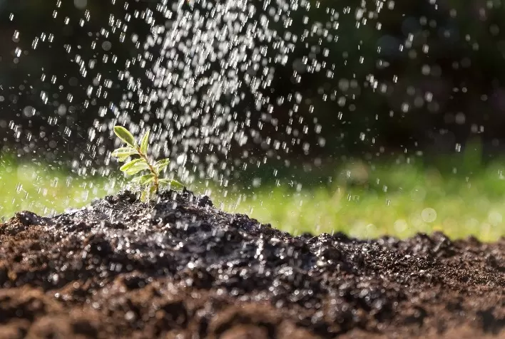 Crise Hídrica Global Ameaça Sustentabilidade da Produção Alimentar
