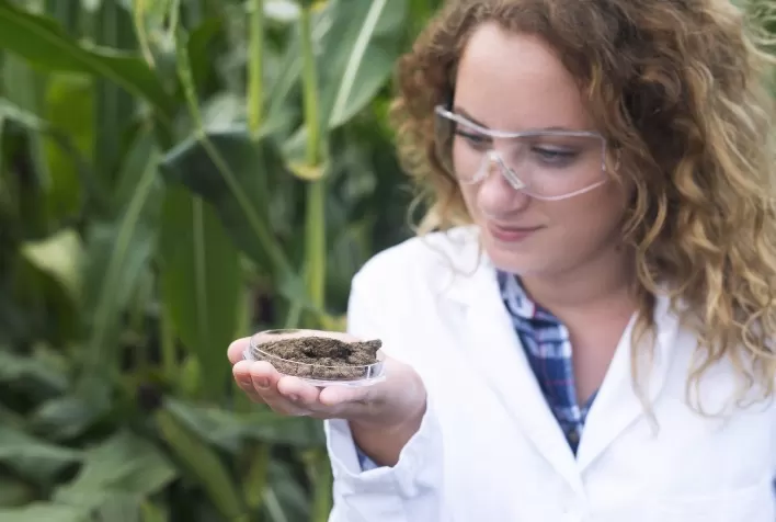 Manejo Biológico: Solução Sustentável para o Controle de Pragas no Agronegócio