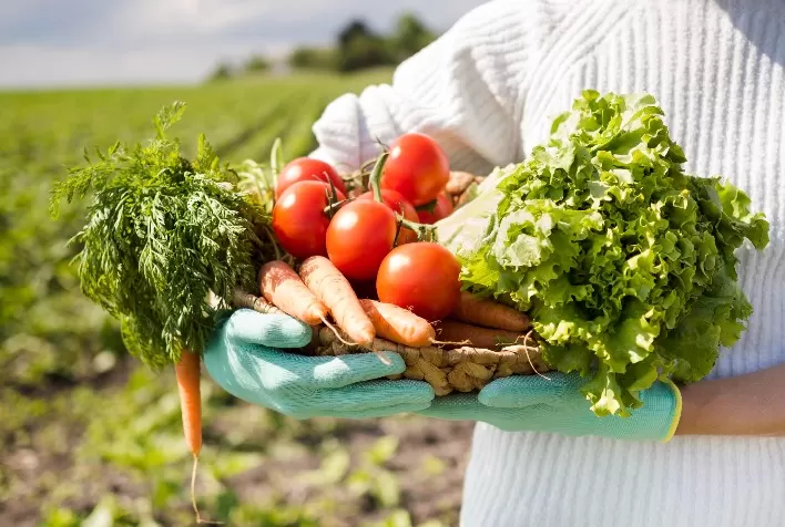 Inovações nos sistemas alimentares promovem a sustentabilidade global