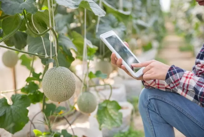 Avanços no Smart Farming Marcam a Terceira Revolução da Agricultura no Brasil