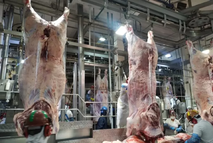 Crescimento do Abate de Bovinos em Goiás Atinge 23,9%
