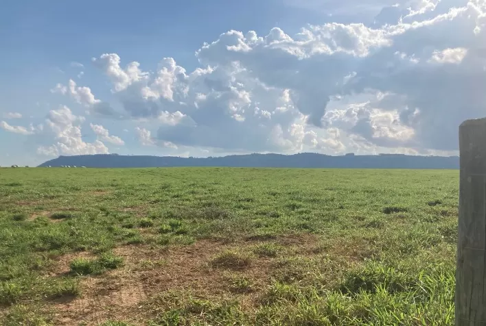 Ciclo das Pastagens de Inverno se Encerram no Rio Grande do Sul