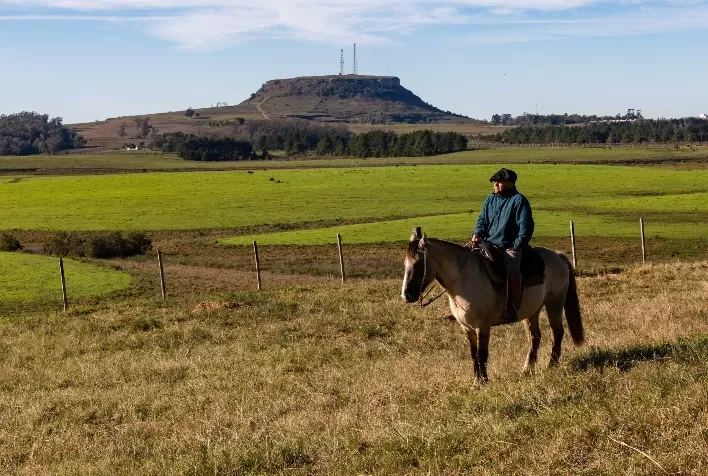 Enoturismo no Brasil: Explorando as Delícias Vitivinícolas com a Miolo
