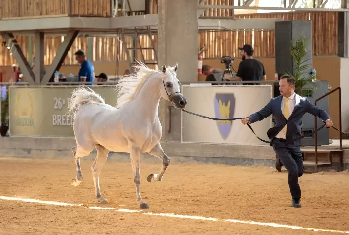 4ª Exposição Nacional do Cavalo Árabe de Esporte em Tatuí: Um Espetáculo Equestre para Todas as Idades