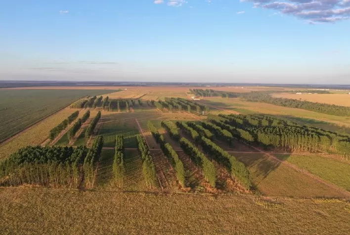 Chamada Pública da Embrapa Fomenta Parcerias para Pesquisa em Agropecuária Regenerativa