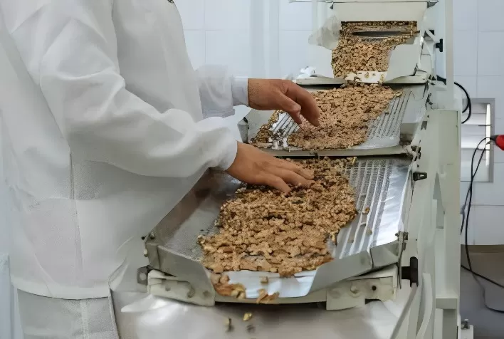Indústria Gaúcha de Pecan Prepara-se para Exportar para a China
