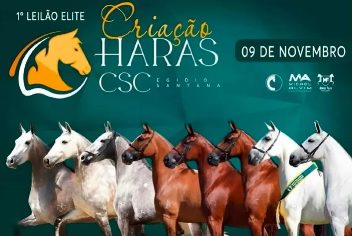 I Leilão Elite do Haras CSC Promove Vendas de Embriões e Animais
