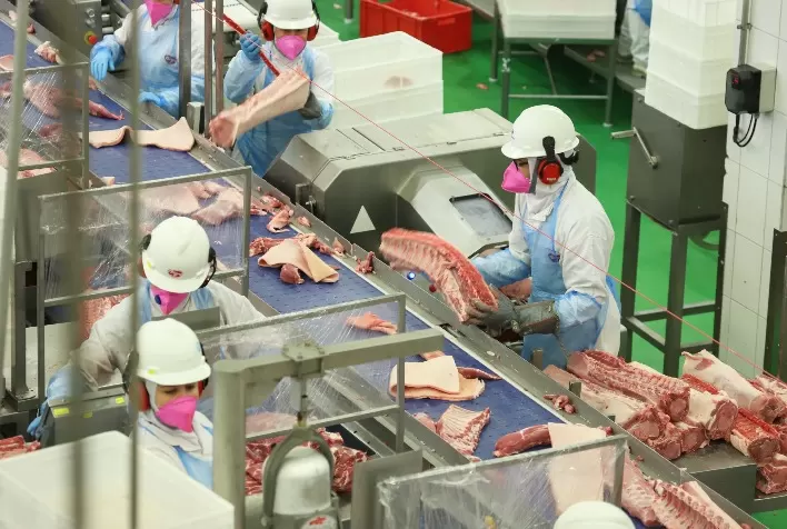 Paraná Bate Recorde de Exportação de Carne Suína em Setembro
